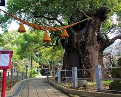 山王神社長崎の画像